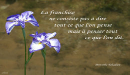 CITATIONS