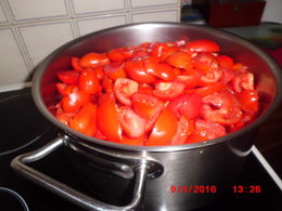 si on reparlait des tomates greffées