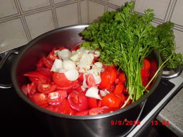 si on reparlait des tomates greffées