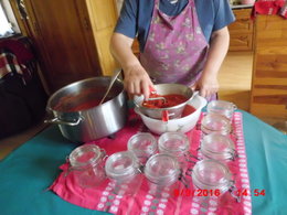 si on reparlait des tomates greffées