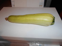 COURGETTE BLANCHE