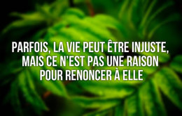 CITATIONS