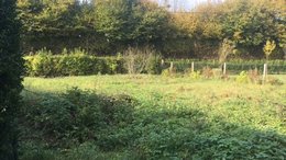 Réaménager un jardin en friches en Normandie