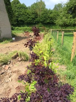 Réaménager un jardin en friches en Normandie