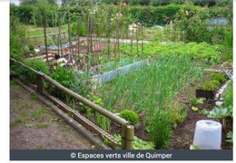 Les jardins collectifs