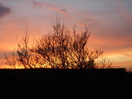 Beauté du ciel