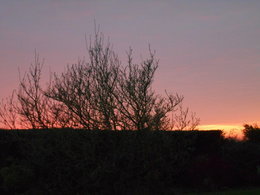 Beauté du ciel