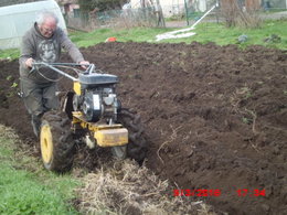 Le père-noël vous a-t-il apporté un cadeau en rapport avec le jardin ?