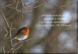 CITATIONS