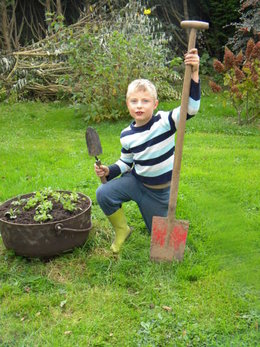 Faire germer des graines de haricots