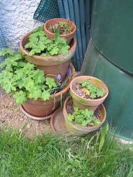 Cascade de pots de fleurs