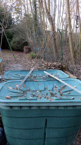 Recycler-vous l'eau de pluie pour arroser le jardin ?