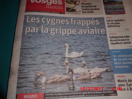 Disparition des petits oiseaux