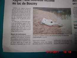 Disparition des petits oiseaux