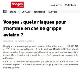 Disparition des petits oiseaux