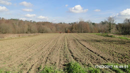 travaux de début de printemps au potager