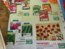 Mon 1er potager en 2017