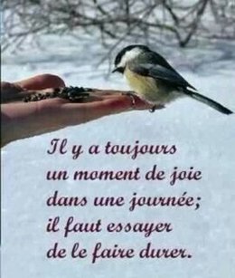 CITATIONS