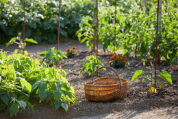 Que signifie le jardinage bilogique