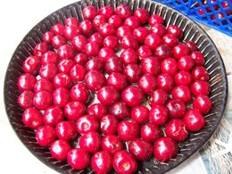 cerises