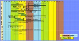 Planifier mon potager: Ma petite bidouille plutôt qu'un logiciel.