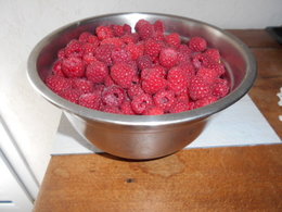 framboises