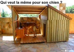 Vous avez dit : niche  pour chien ?