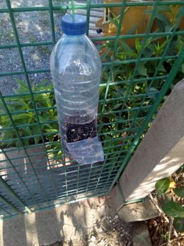 Recycler les bouteilles en plastique au jardin