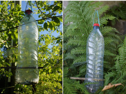 Recycler les bouteilles en plastique au jardin