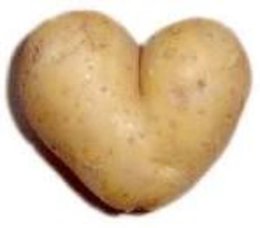 arrosage pomme de terre
