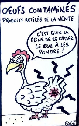 Les oeufs contaminés