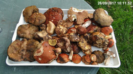 SOLEIL ET PLUIE = CEPES