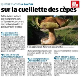 SOLEIL ET PLUIE = CEPES