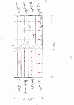 Le novice du potager