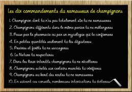 Citation