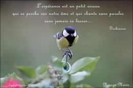 Citation