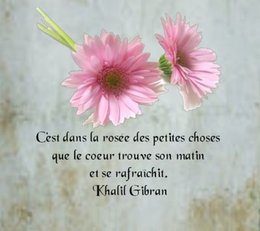 Citation