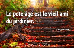 Citation