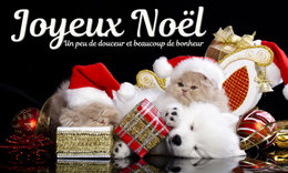 JOYEUX NOEL 2017