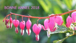 Bonne année 2018