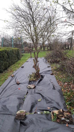 Réaménager un potager