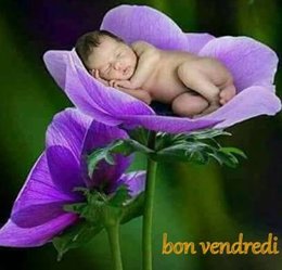 Au  petit coucou amical