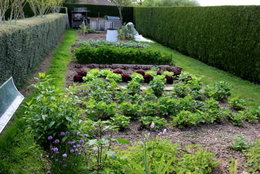 Quel taille fait votre potager ?