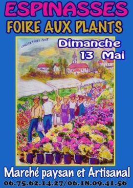 Foire aux plants Espinasses- marché artisanal et paysan