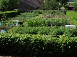 présentation de mon potager