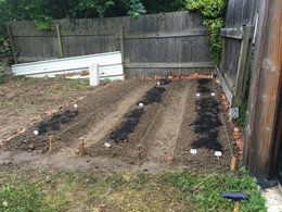 Jardinier en herbe, je me suis inscrit pour avoir des conseil avant de débuter mon potager