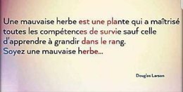 CITATIONS