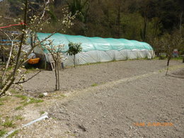 Techniques de solidification d'un tunnel de jardin