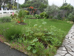 Séparations naturelles ou artificielles dans le jardin ?