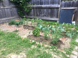 Jardinier en herbe, je me suis inscrit pour avoir des conseil avant de débuter mon potager